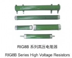 RIG8B type resistors